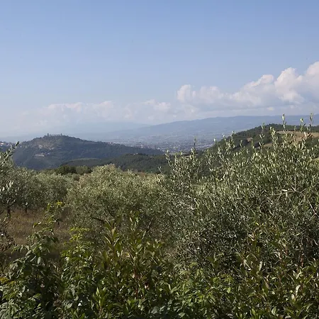 Colle Dei Ciliegi דירה Pieve San Nicolo